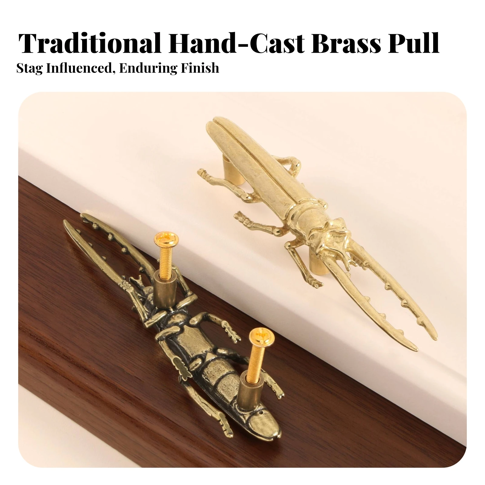 Beetle Handle Sculptural Beetle Drawer Pull Cabinet Handle Sturdy Drawer Pull Nontoxic for DIYers, Cabinets, Drawers