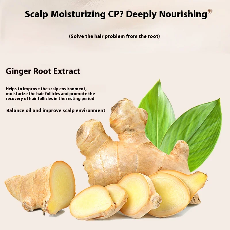 Ginger Anti-Hair Loss Shampoo | Anti-Dandruff & Itch Relief | Long-Lasting Fragrance | Scalp Detox & Moisturizing 505ml