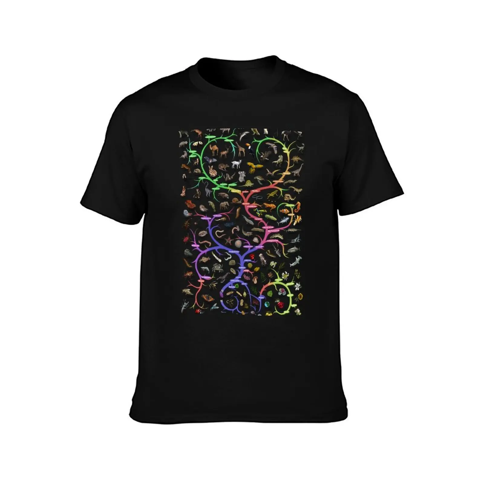 Animal and Plant Evolution - Tree of Life Poster - English T-Shirt Stylish Graphic Short Sleeve Top T-Shirt