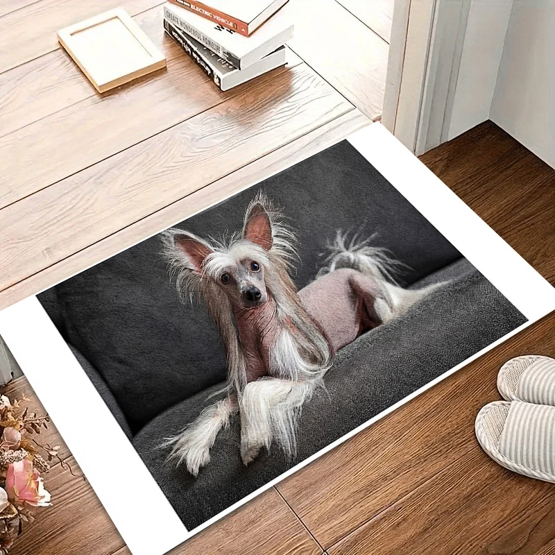 Chinese Crested Dog Photo Entry Door Mat Non-Slip Washable Mat & Rug Pet-Friendly Home Decor Carpet Soft Rugs for Bedroom Gift