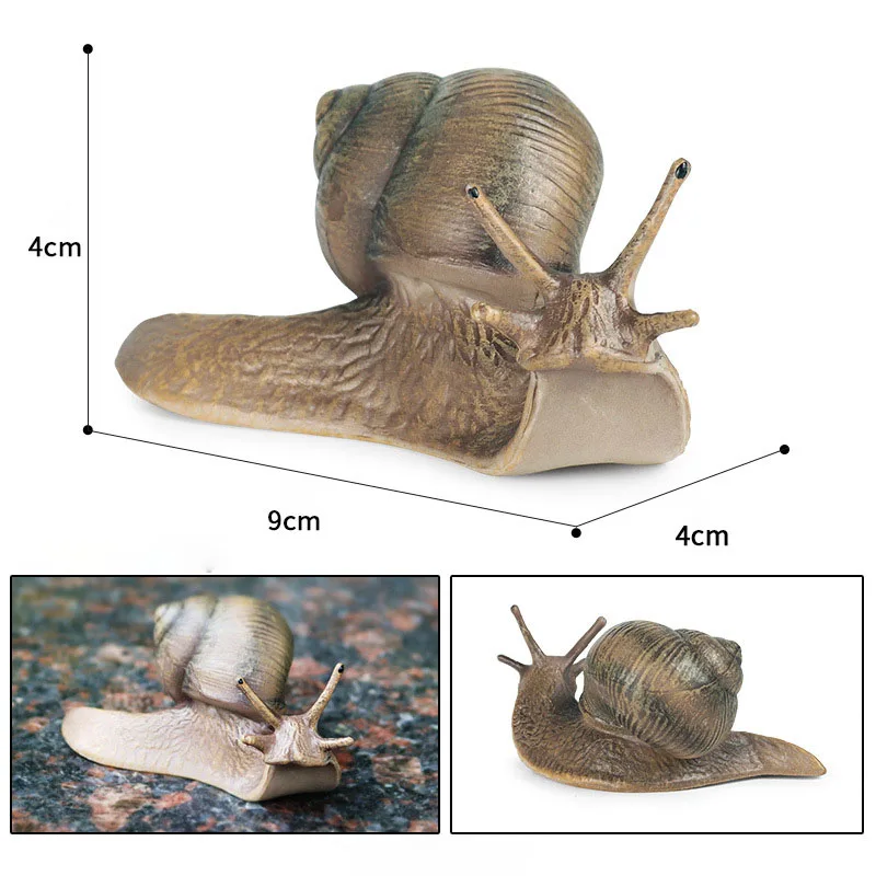 9*4*4cm Early childhood education simulation animal model toy solid snail micro landscape garden garden landscaping decoration