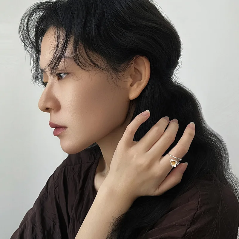 Amxiu  