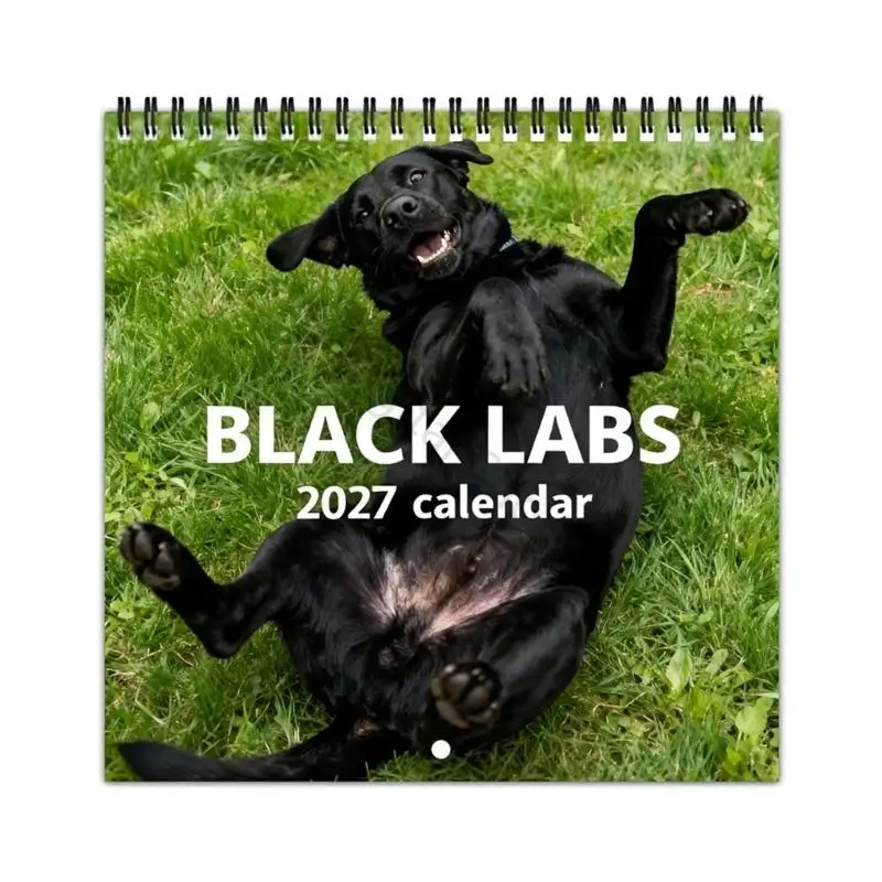 96BA 2027 Animal Artwork Wall Monthly Calendar with  English Month and Date Labels