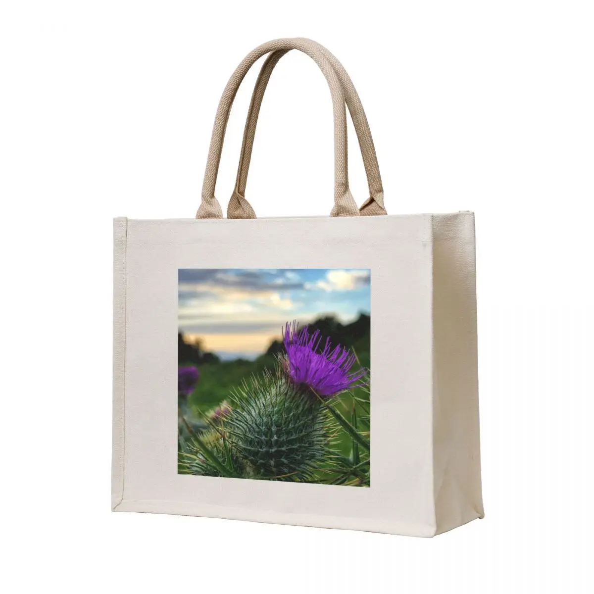 

Sunset thistle near Selkirk, Scottish Borders Tote Bag Shopper handbag bag luxury women Canvas bag