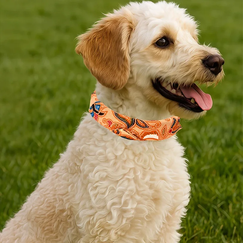 PU Leather Collar Suitable for Both Cats and Dogs, Fashionable and Versatile Dog Drool Bib Collar view 4