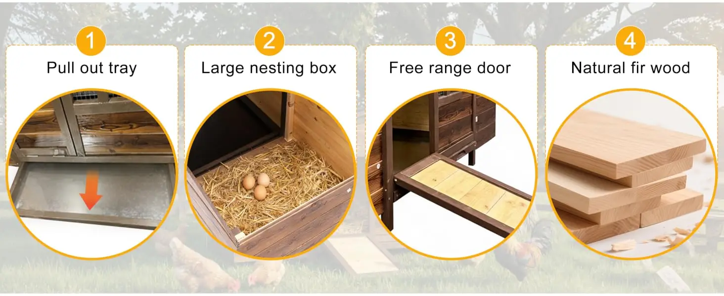chicken coop poultry hutch