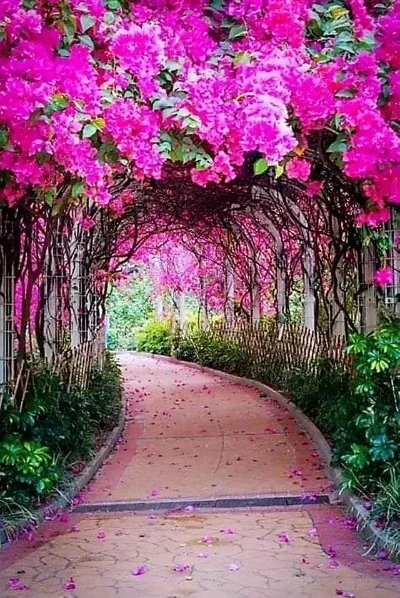 

50pcs Stainless Steel Spherification Spoon Molecular Mixologist Slotted Bar Spoons