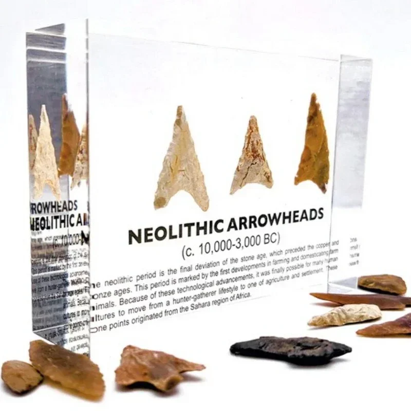 Neolithic Arrowhead Mini Museum Creative Birthday Gift Specimen Crystal Inner Ornament Curious Cabinet