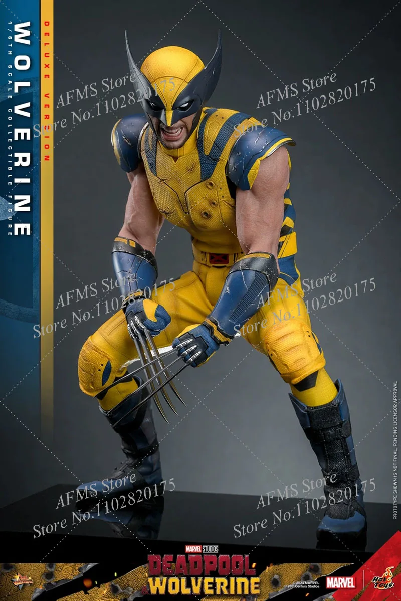HOTTOYS HT MMS754 Figura colecionável em escala 1/6 Deadpool & Wolverine Hugh Jackman Wolverine 12 polegadas Figura de ação de soldado masculino