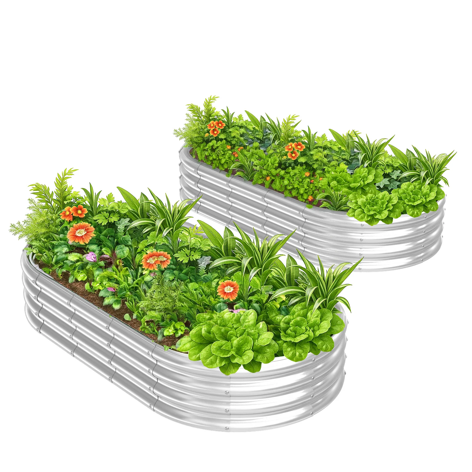

2 Pcs 6×3×1ft Raised Garden Bed, Oval Galvanized Outdoor Planter Box, Metal Garden Bed for Planting Vegetables Fruits Flowers