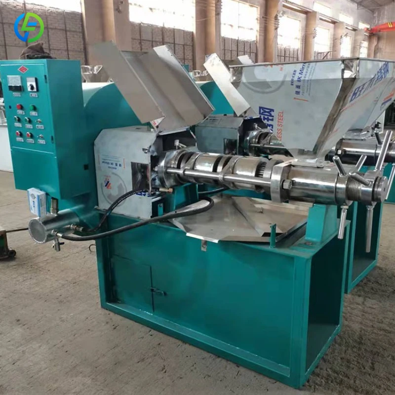 Hydraulic Home Use Peanut Coconut Oil Press Machine Cheap Price Food Grade Stainless Steel Oil Extractor FL Customized