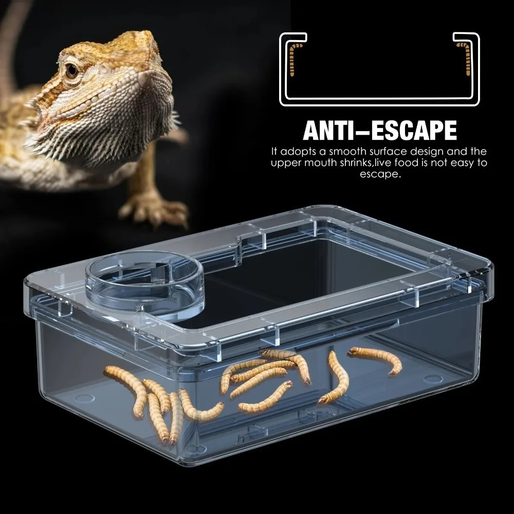 Thumbnail 4 - #11 Trending Reptile Water Bowls Right Now