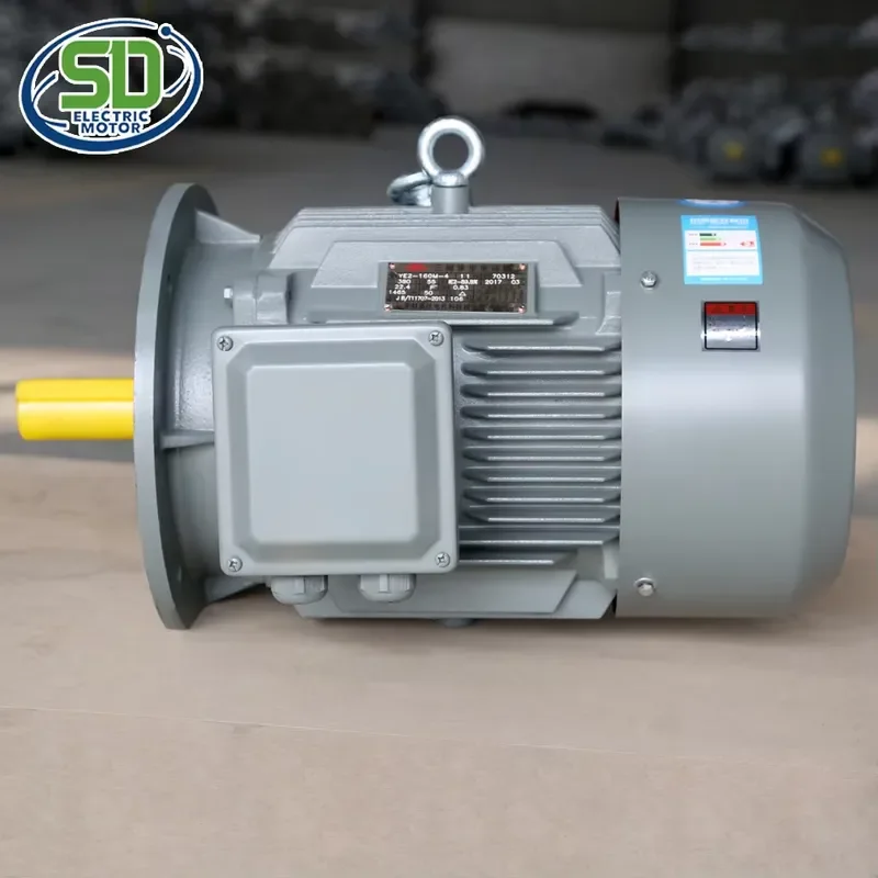 YE3 8 Pole 160M1 750 Rpm Ac Induction 5.5 660v Asynchronous 3 Phase Flange Electric 4kw 380v Motor