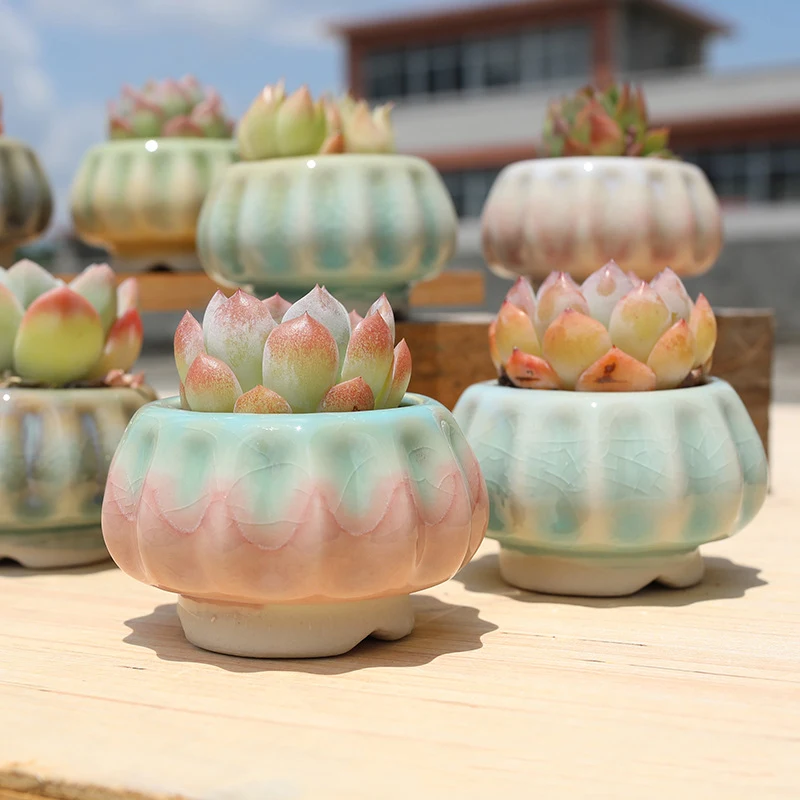 Creative Mini Ceramic Flowerpot Fresh Ice Crackle Pattern Succulent Plant Container Small Bonsai Pots Garden Home Ornaments Cute