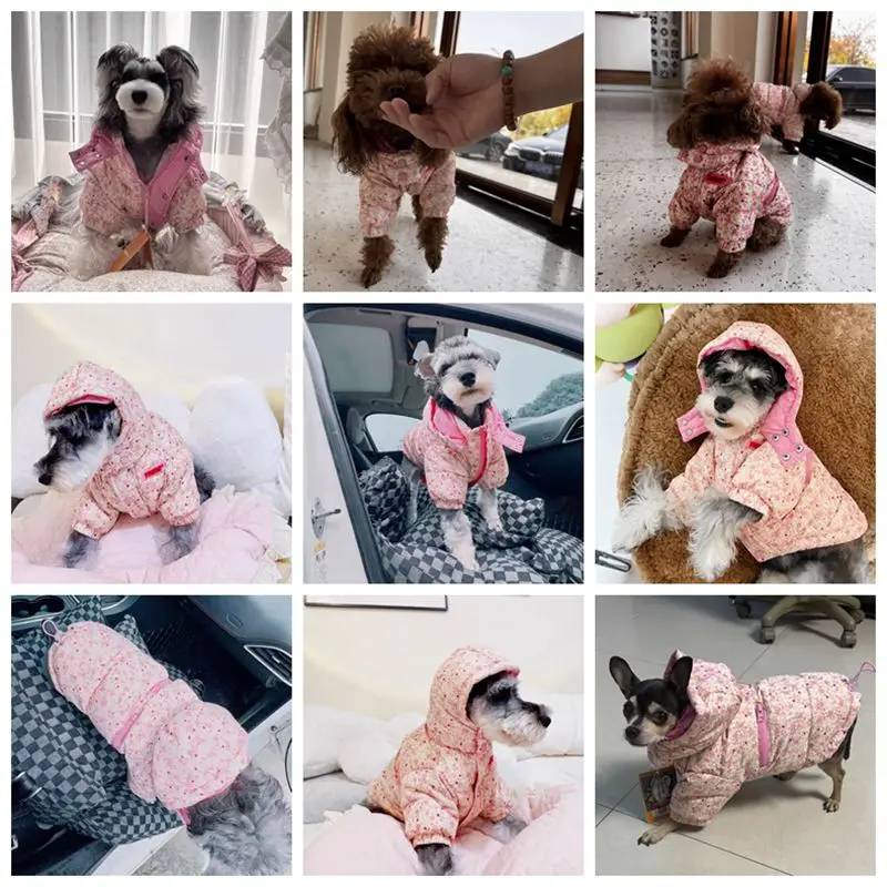 Pet Dog Hooded Down Jacket Winter Jacket New Pet Two-legged Suit Jacket Warm Dog Down Jacket Puppy Schnauzer Bichon Dog Cloothes