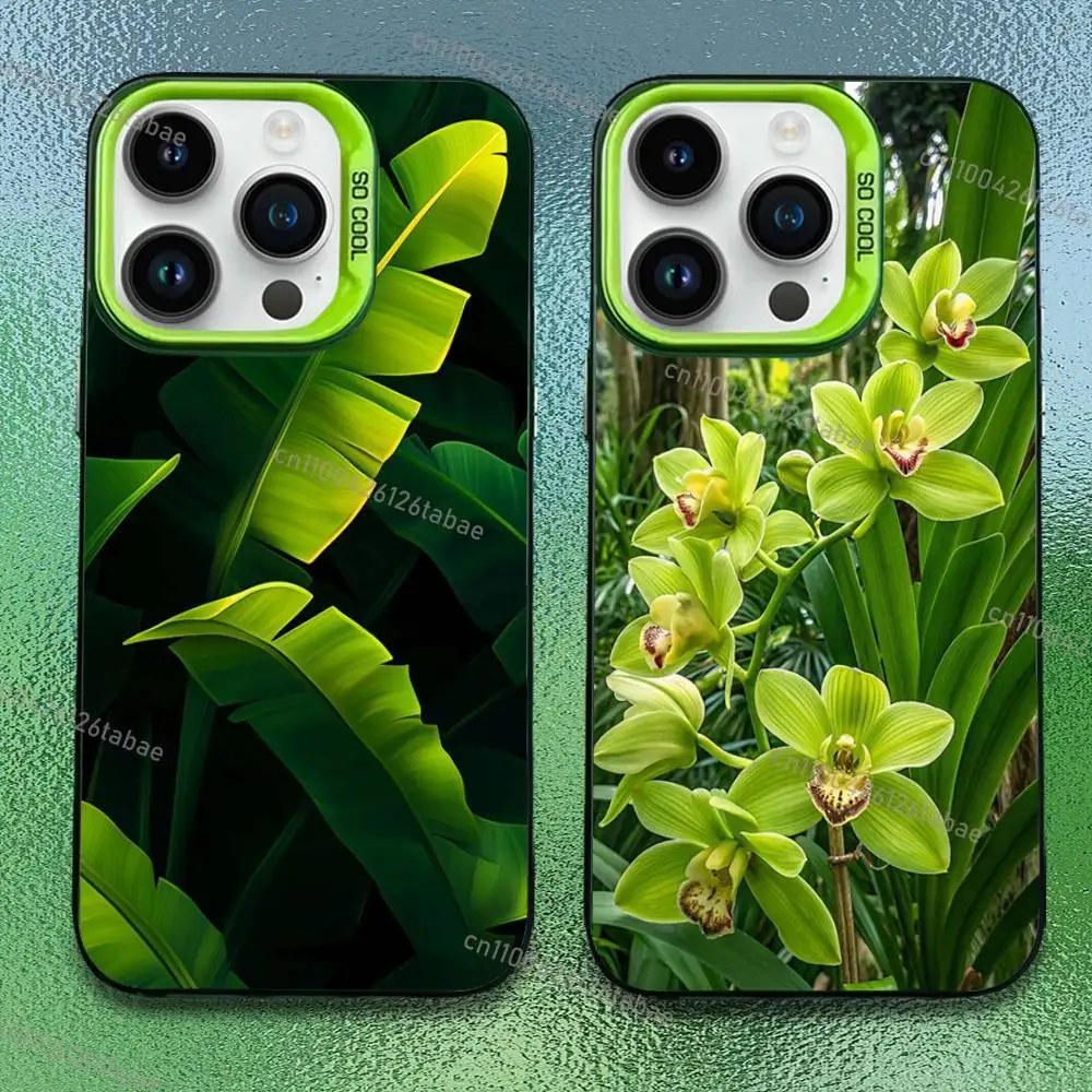 

green Elegant Tropical Leaves Phone Case For iPhone 17,16,15,14,13,12,11,Pro,Max,Plus,Mini,SE Anti Fall Green Matte Hard Bumper