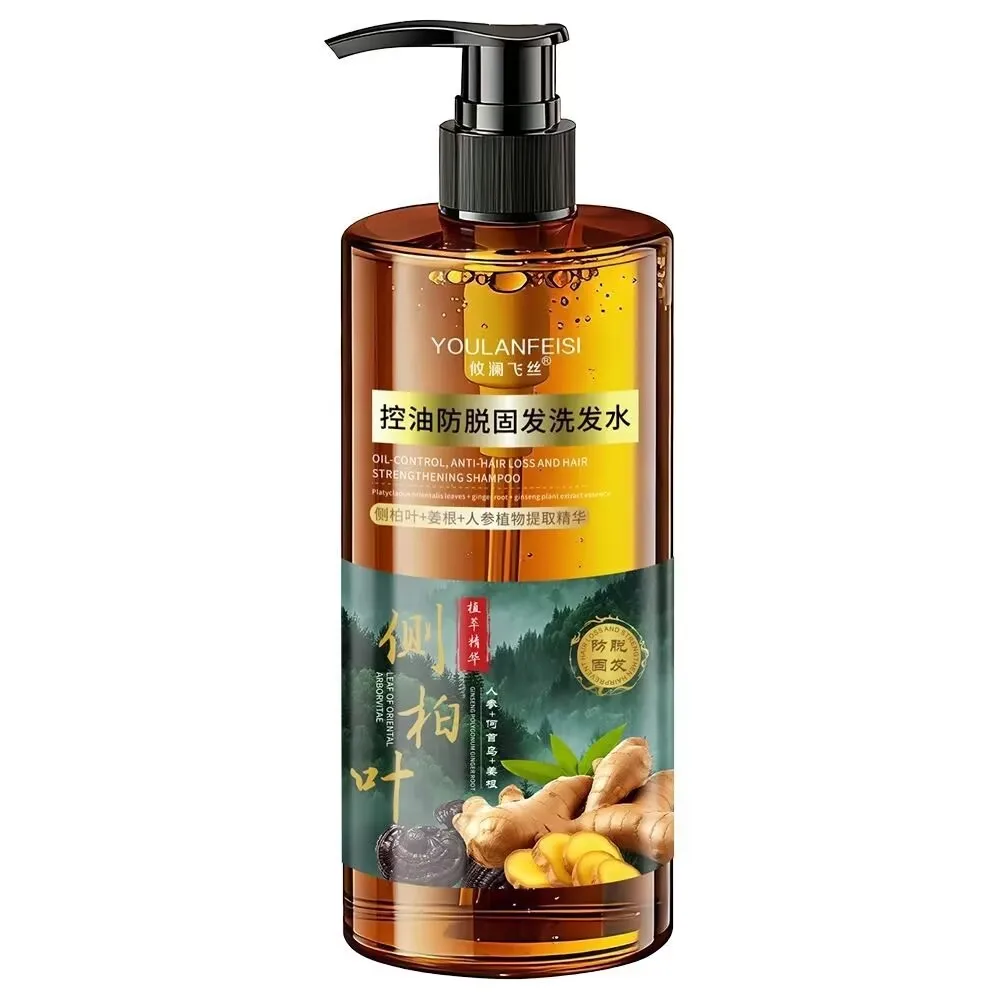 Biotin Anti-Hair Loss Shampoo Oil Control Volumizing Strengthening Silicone-Free Dandruff Control Smoothing Nourishing Hair 500g