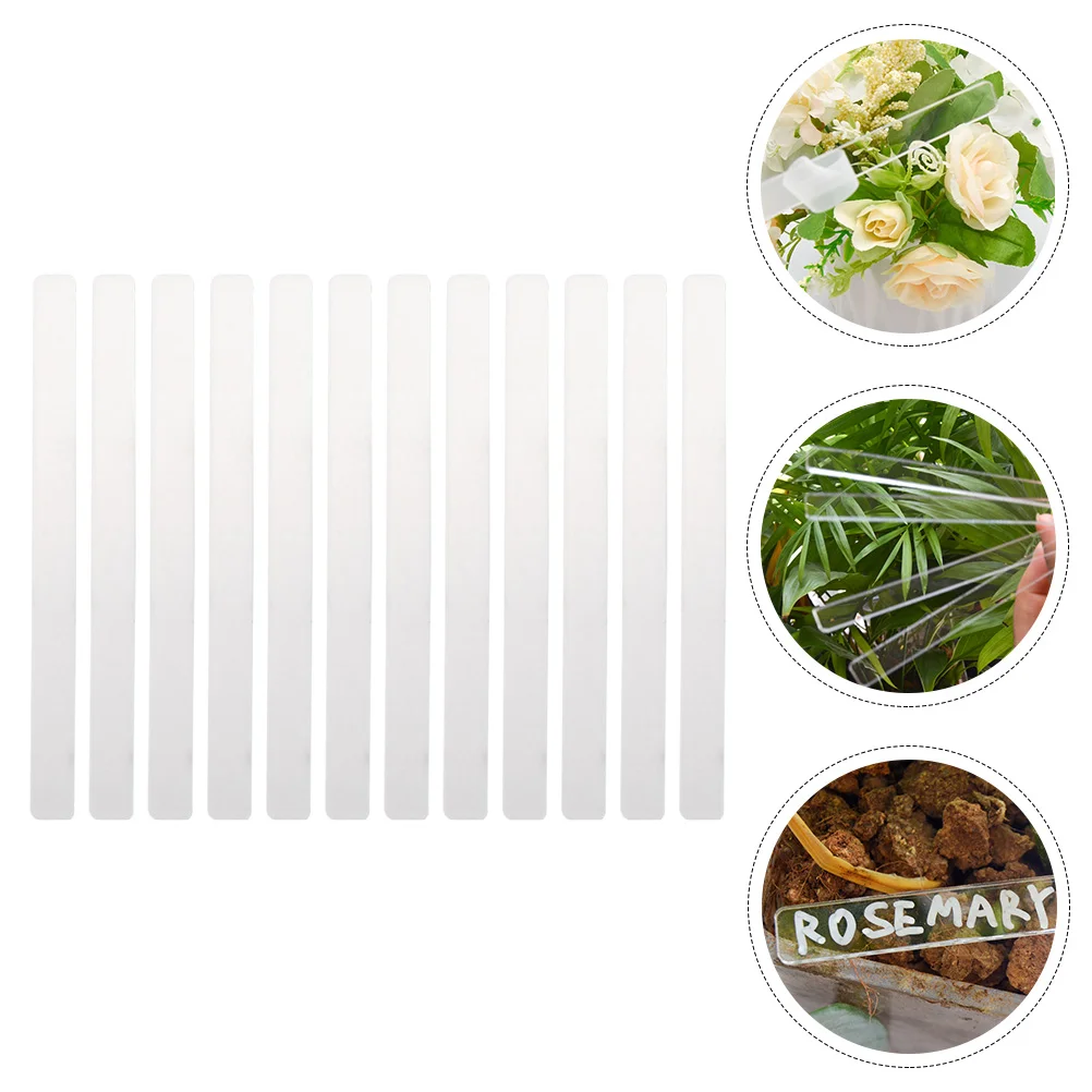 24 Pcs Flowers Garden Tag Indoor Pots Acrylic Vegetable Category Plant Name Tags Seed Labels Transparent Office