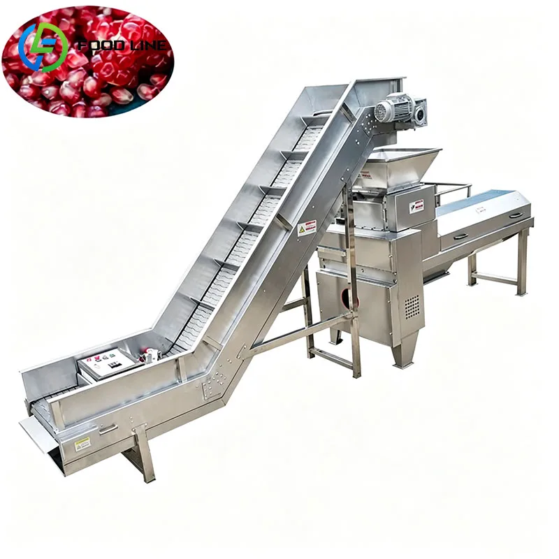 Commercial Pomegranate Aril Separator Seed Processing Machine Pomegranate Fruit Equipment Customized