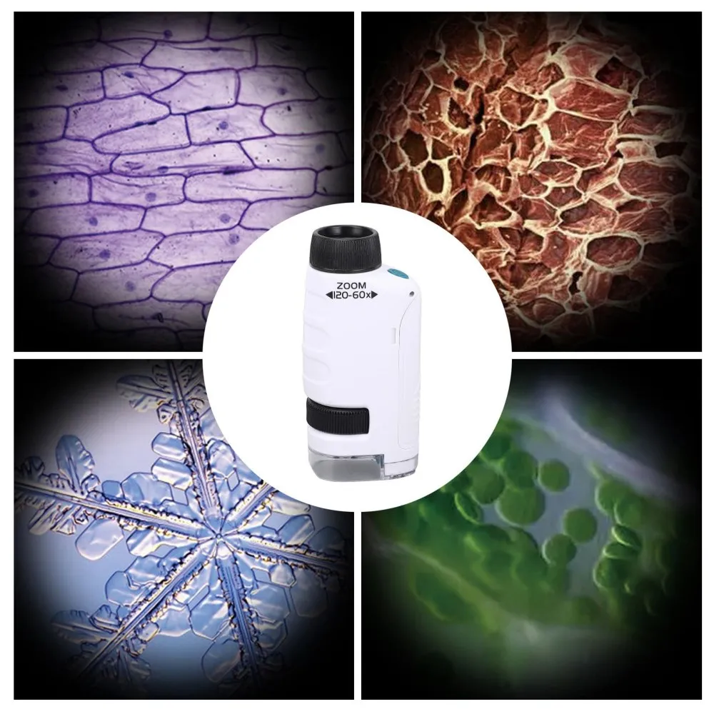 60X-120X Kit microscopio portatile Microscopi da laboratorio portatili Scienze biologiche Educativi Impara i giocattoli per il regalo dei bambini