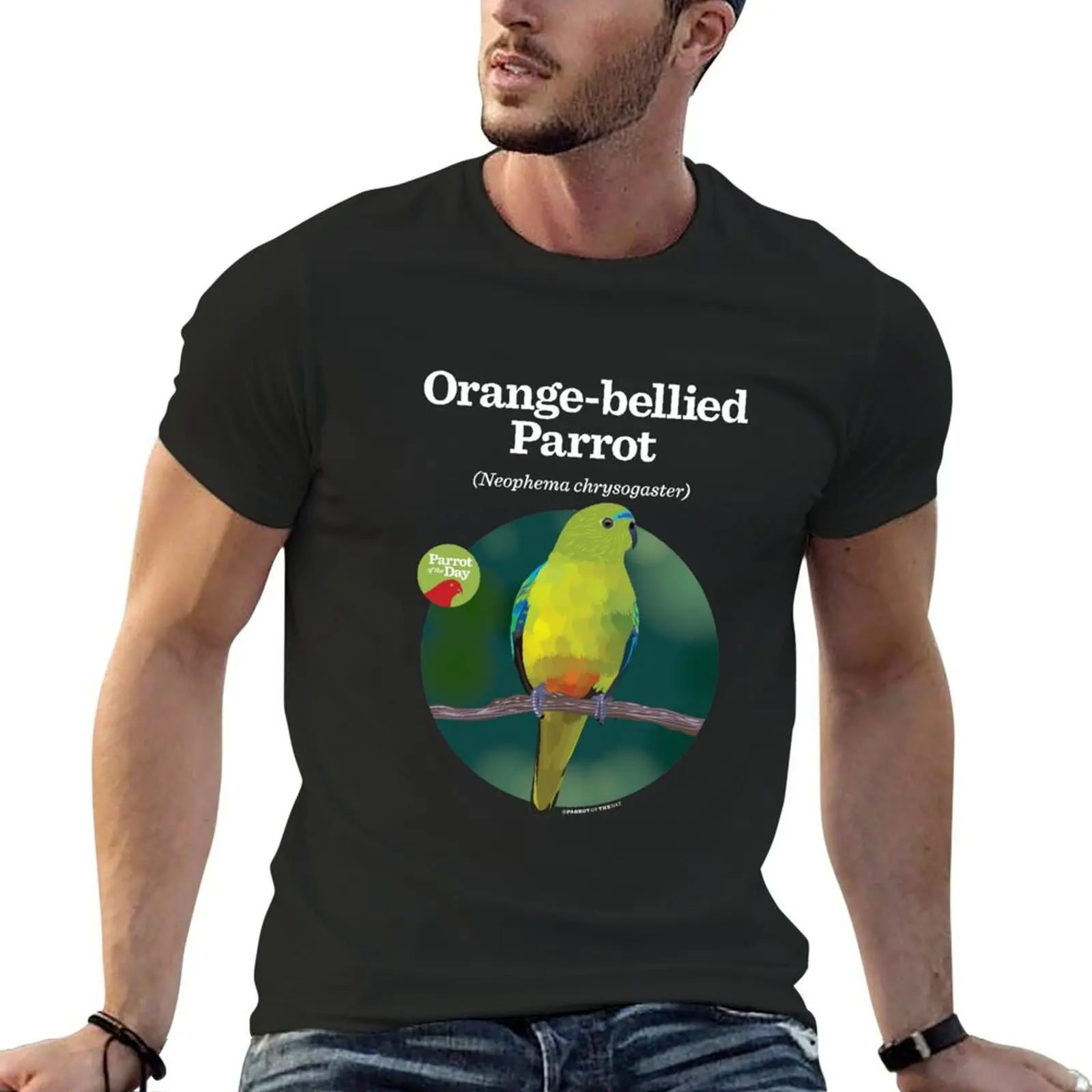 Orange-bellied Parrot - Large white text for dark background T-Shirt anime stuff sweat plain t shirts men