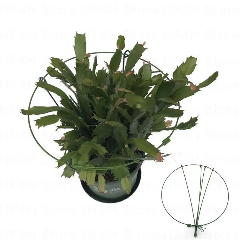 Metal Round Adjustable Garden Flower Plant Stand Support Circle Stake Ring Holder Climbing Iron Gardening Tools Bonsai Veg