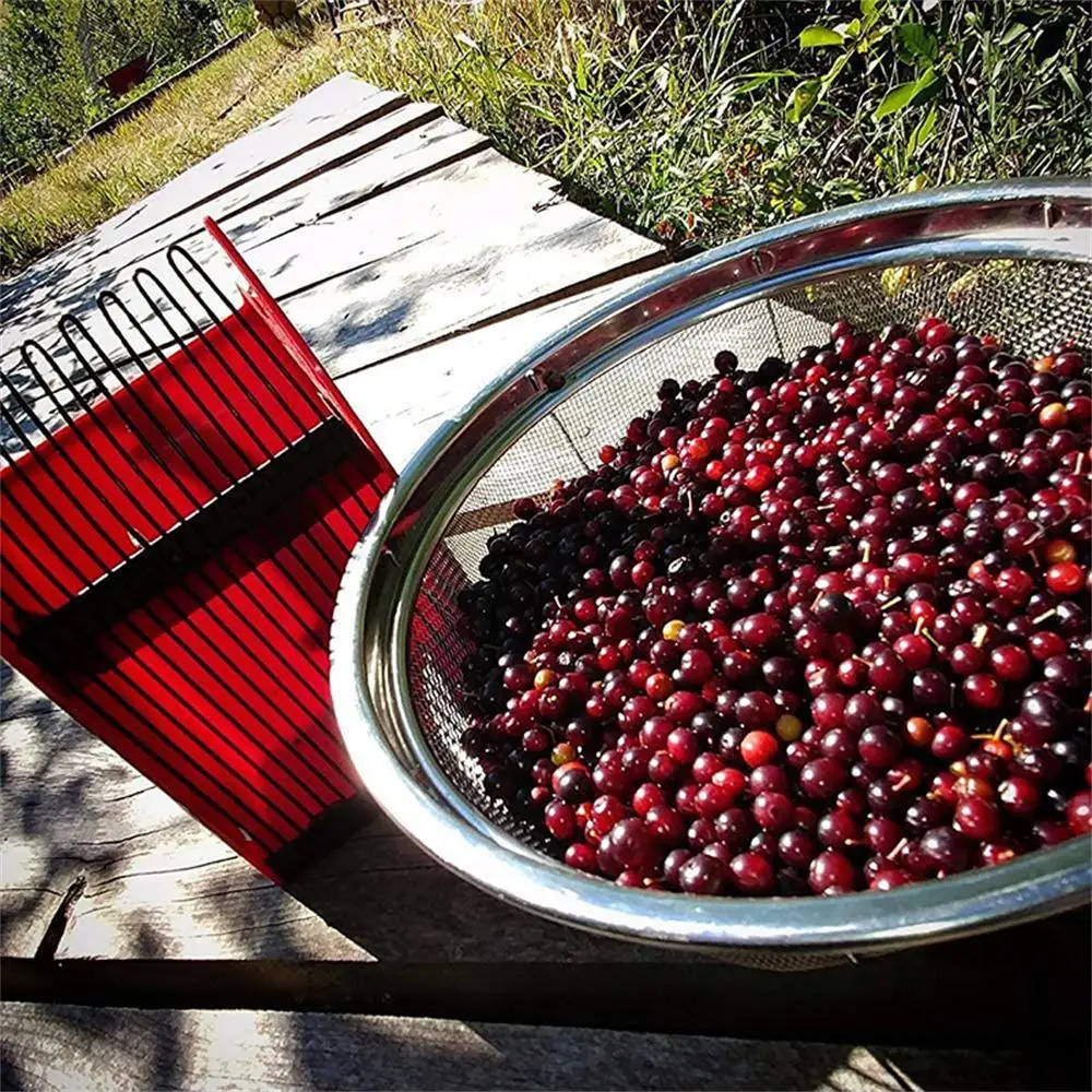 Portable Berry Pickers Metal Comb Rakes Picking Fruit Collecting Scoop Handle Blueberry Collection Harvester Picking Garden Tool