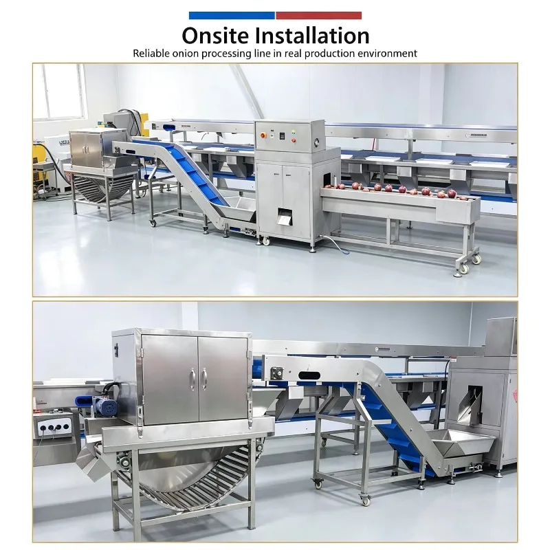 Onsite Installation Onion Processing Line Reliable Peeling And Conveying System Real Production Environment Customized