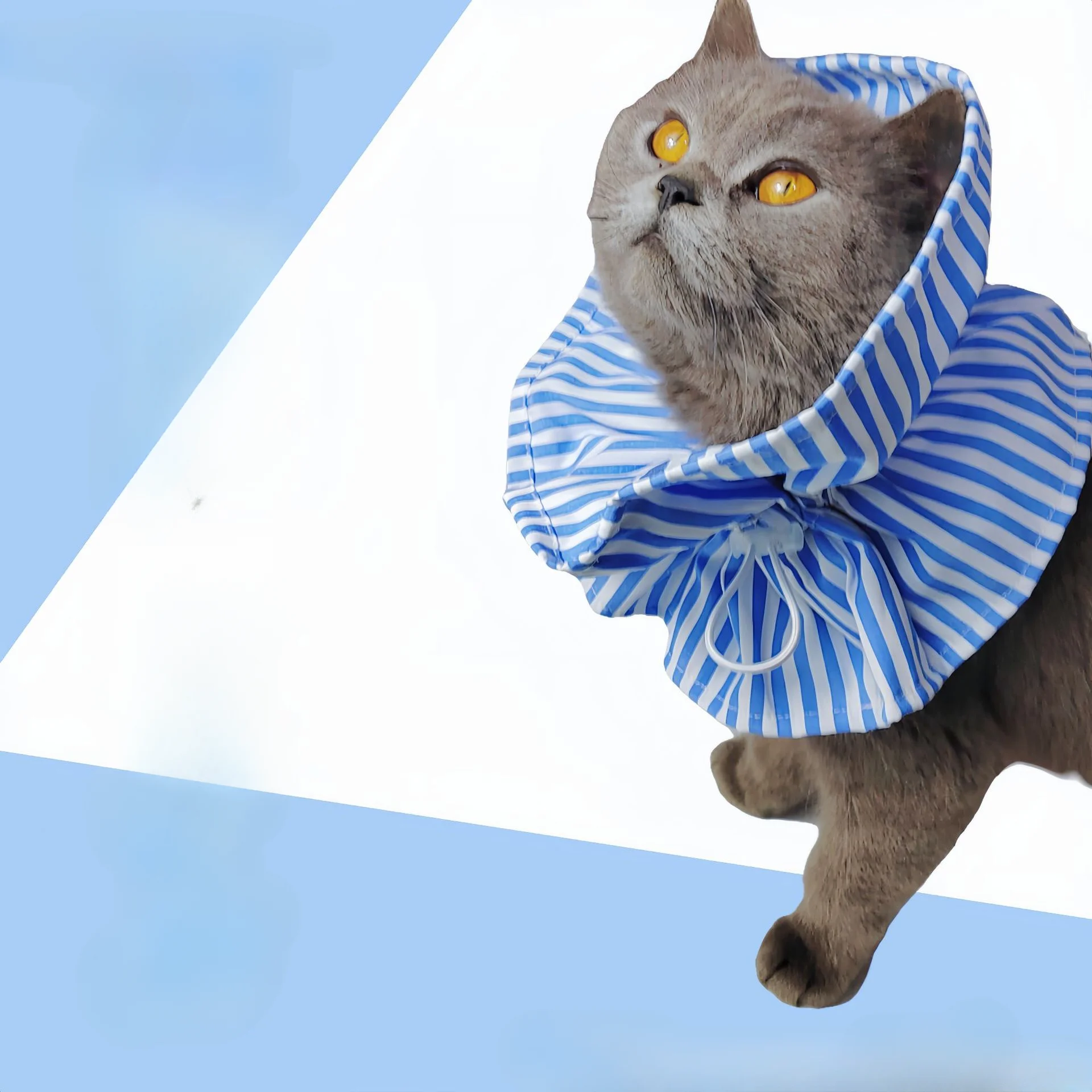 Pet Supplies Elizabeth Hoop Neck Cover for Sterilization Insect Repellent Anti Lick Cat and Dog Scars Essential for Home Use