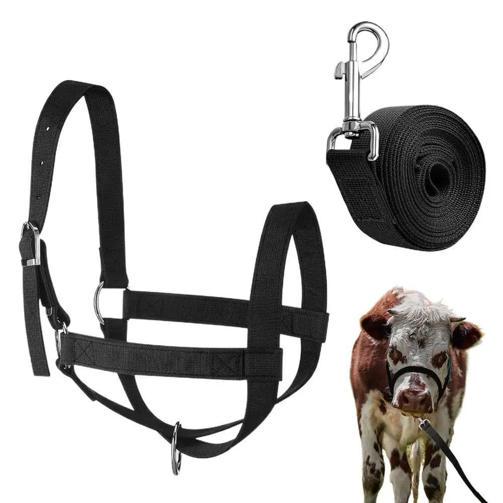 Calf Halter Calf Halter and Lead Rope Heavy-Duty Adjustable Nylon Livestock Training Equipment for Handling Showing Animals
