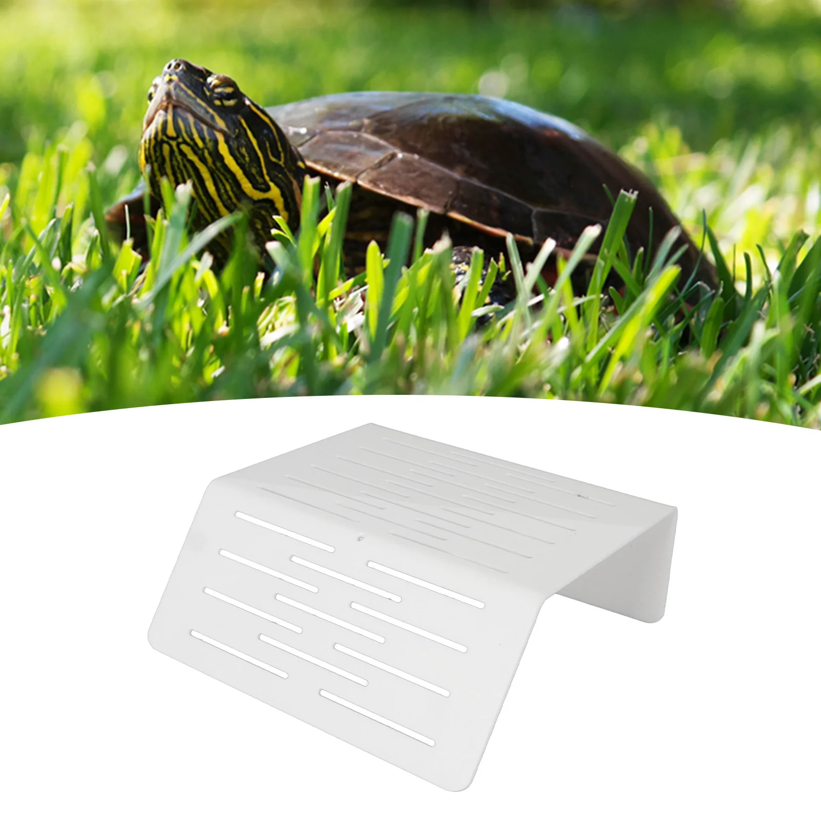 Turtle Basking Platform Thick Acrylic High Hardness Hollowed Steps Stable Turtle Platform For Reptile Fish Tank Aquarium