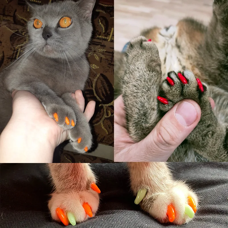 Cat Nail Caps 20Pcs… - image