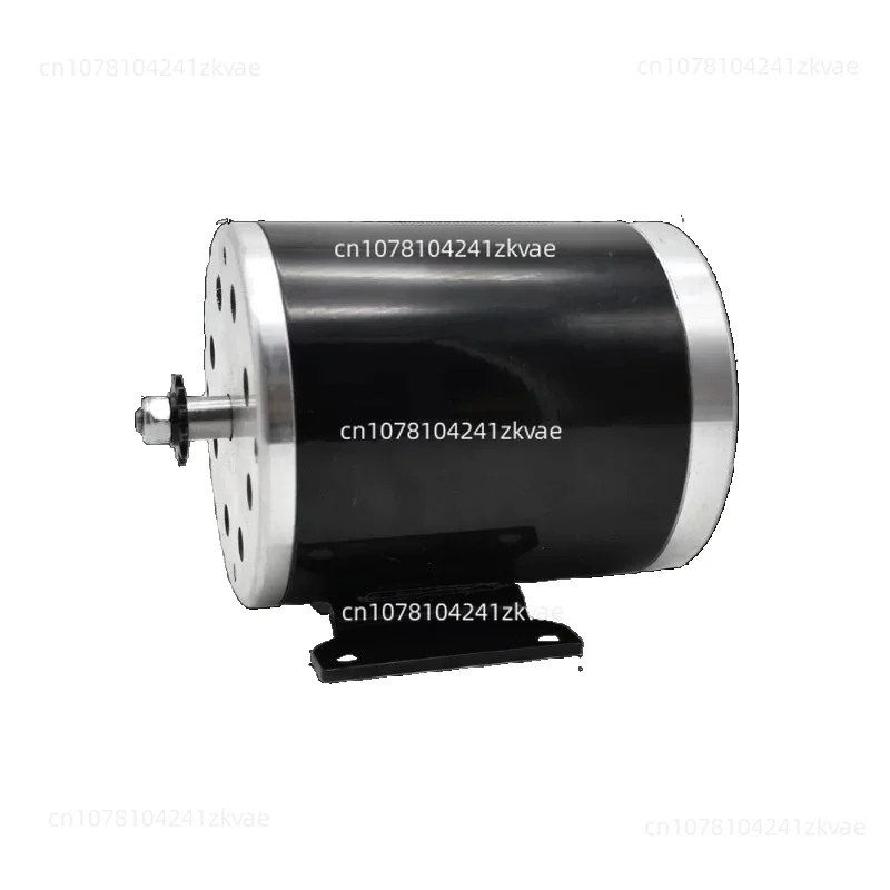 MY1020 Motor 500W 750W 1000W 24V 36V 48V Electric Shaka Kart Beach Electric Vehicle High Speed Brushed