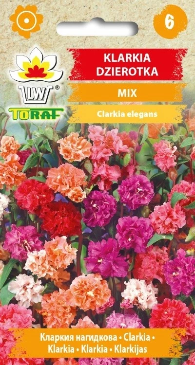 Clarkia Hybrid MIX Blumensamen – 536 Toraf