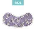 ZB21