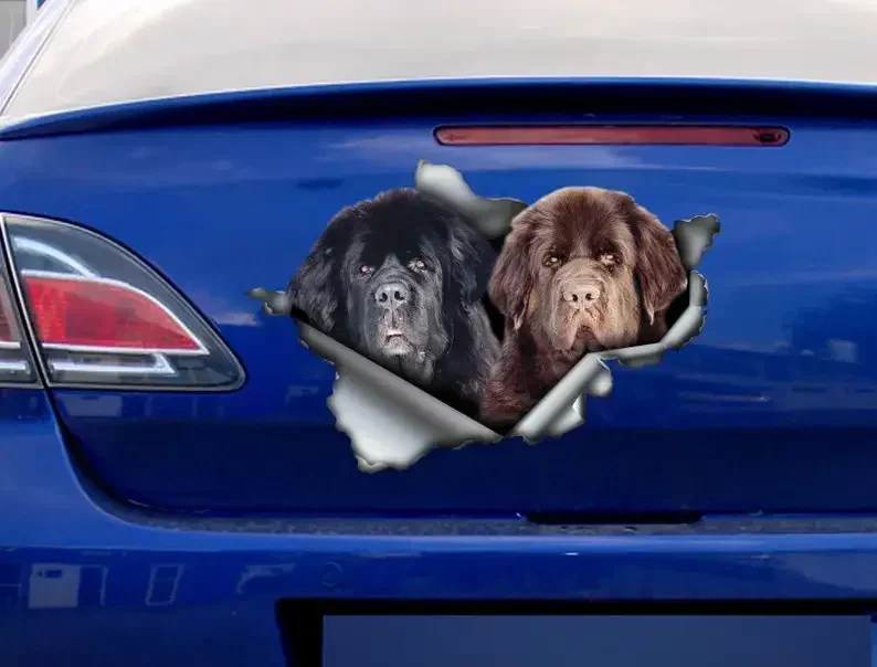 Black and brown Newfie decal , Newfie magnet, newfie sticker, car decal