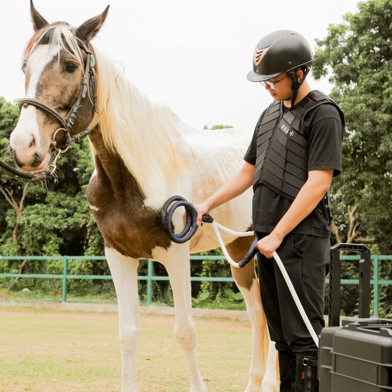 Physio Magneto Super Inductive Magnetic Machine PMST Equine PEMF Horse Pain Relief Hoof Treatment Machine Horses