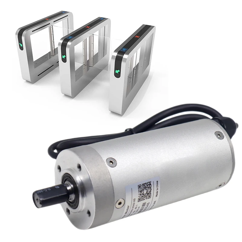 

12N.m DC24V Continuous Rated Torque0.32N.m Drive Dcmotor 24v 100w Speed Gate Dc Servo Motor
