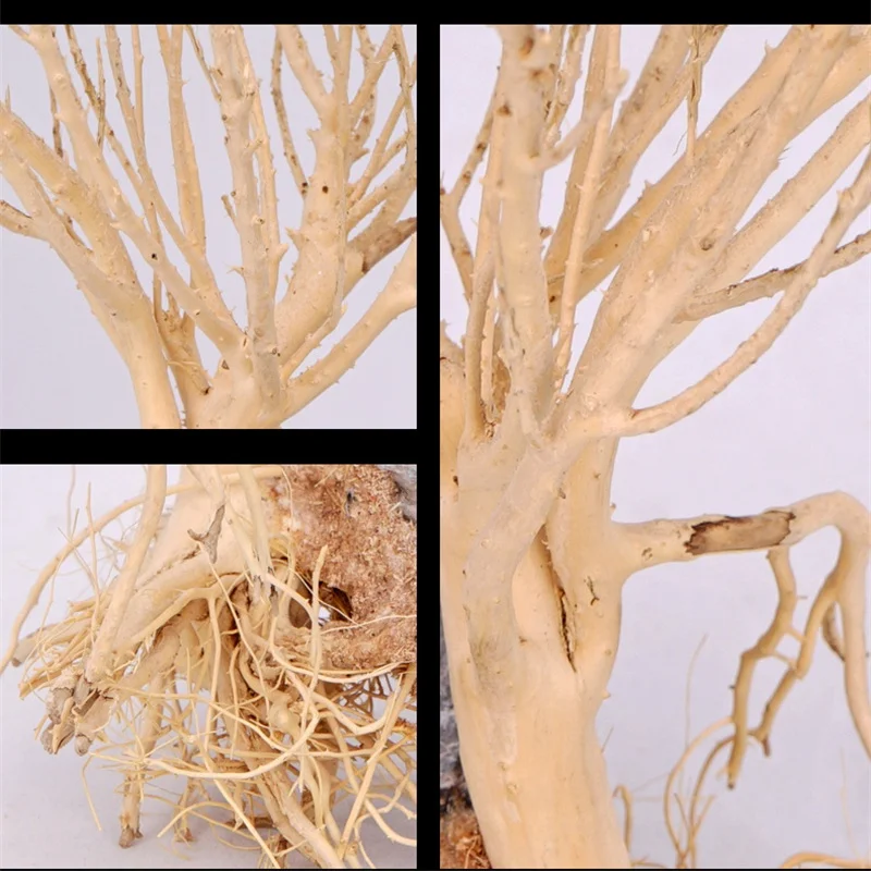 Driftwood Moss Tree Plants for Natural Driftwood Branches Aquarium Wood Aquarium Decoration Fish Tank Landscaping Decorations