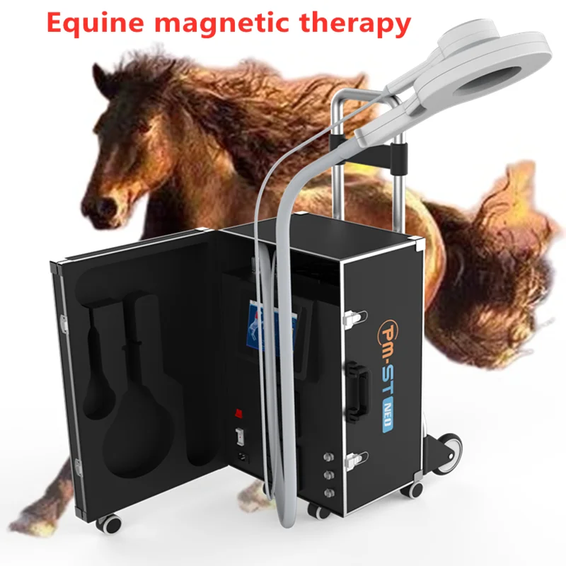 

Магнитное физиотерапевтическое магнитное устройство Equine PEMF с 3000 Гц 4Tesla Box Push Pull для лошадей физиотерапия