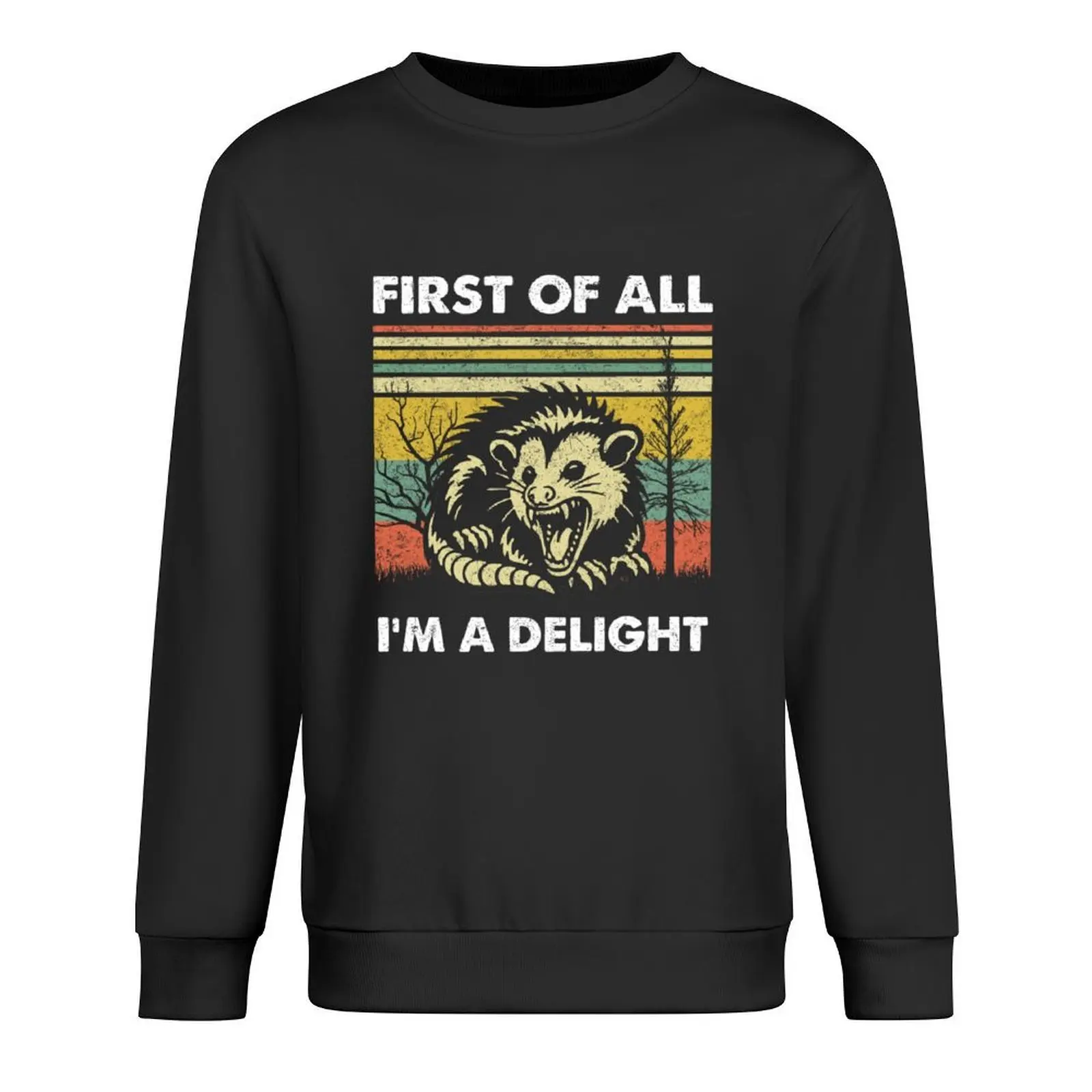 

First Of All I'm A Delight Sarcastic Angry Opossum Possum Pullover men wear men's coat new in sweatshirts