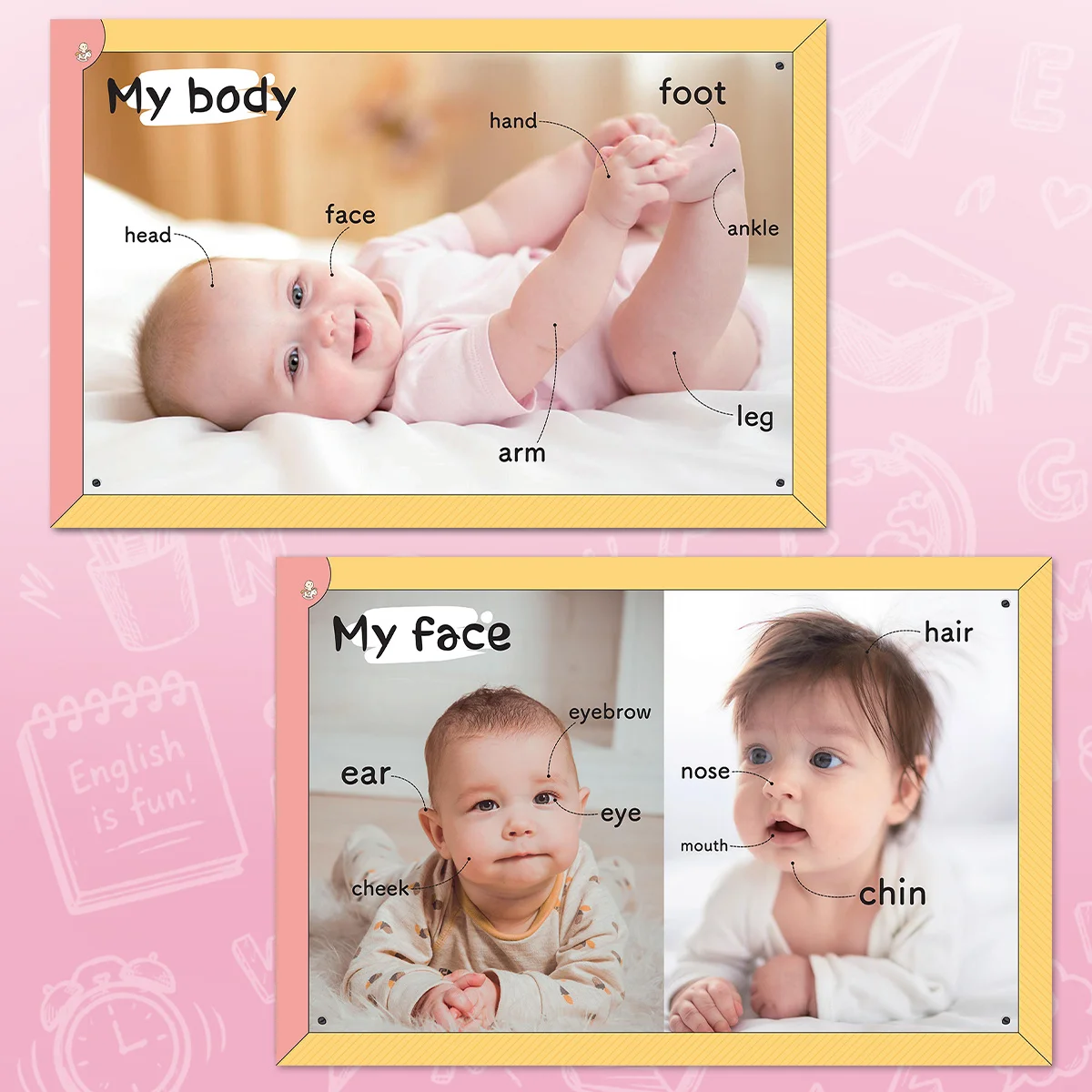 My First Encyclopedia My Body for Kids, Colorful Picture Learning Guide with Body Parts, Face Parts, Hands, Feet, Arms, Legs and