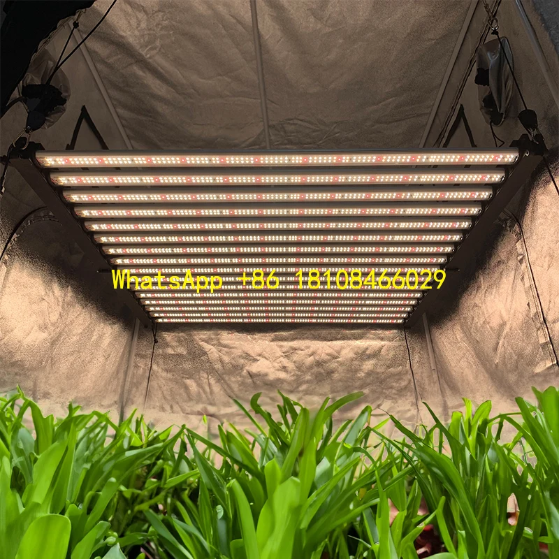 

Light 800W 1000W Indoor Plants Light Led Yield up 4.5lbs Lux Wholesale Grow Lights Full Spectrum Led Dimmable Lm301b Led Grow