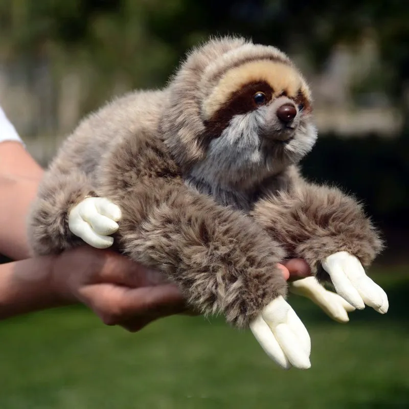 L30xH11cm Cute Three-toed Sloth Plush Toy, Realistic Animal Plush PP Cotton Kids Girl Birthday Gift