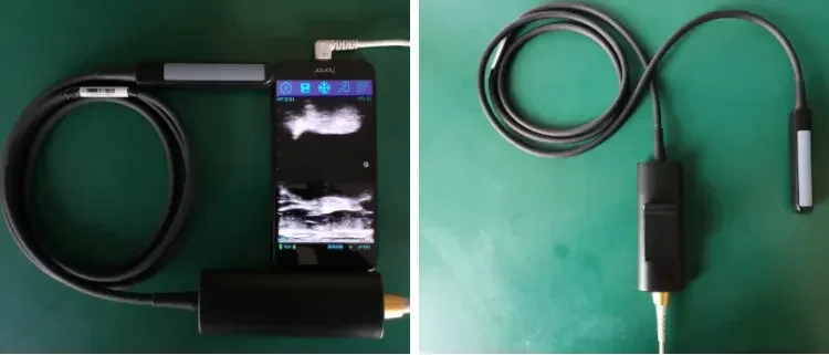 USB Rectal Horse Cattle Cow Bovine Equine Pregnancy Test Ultrasound Machine for Veterinary Use