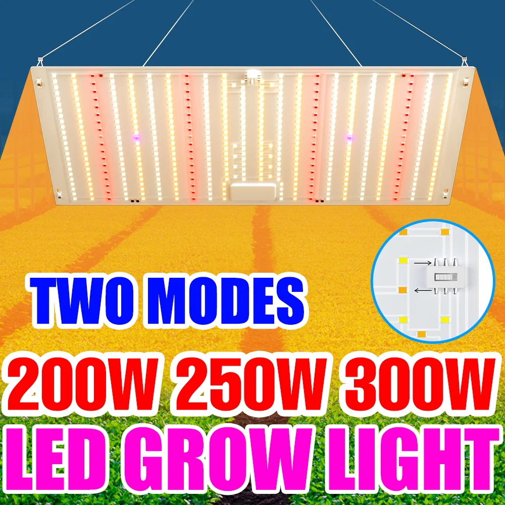 

300 Вт светодиодный полный спектр квантовой доски для выращивания растений, заполняющий светильник, комнатная палатка, бонсай, кактус, овощи, гидропоника, освещение, вилка европейского/американского стандарта
