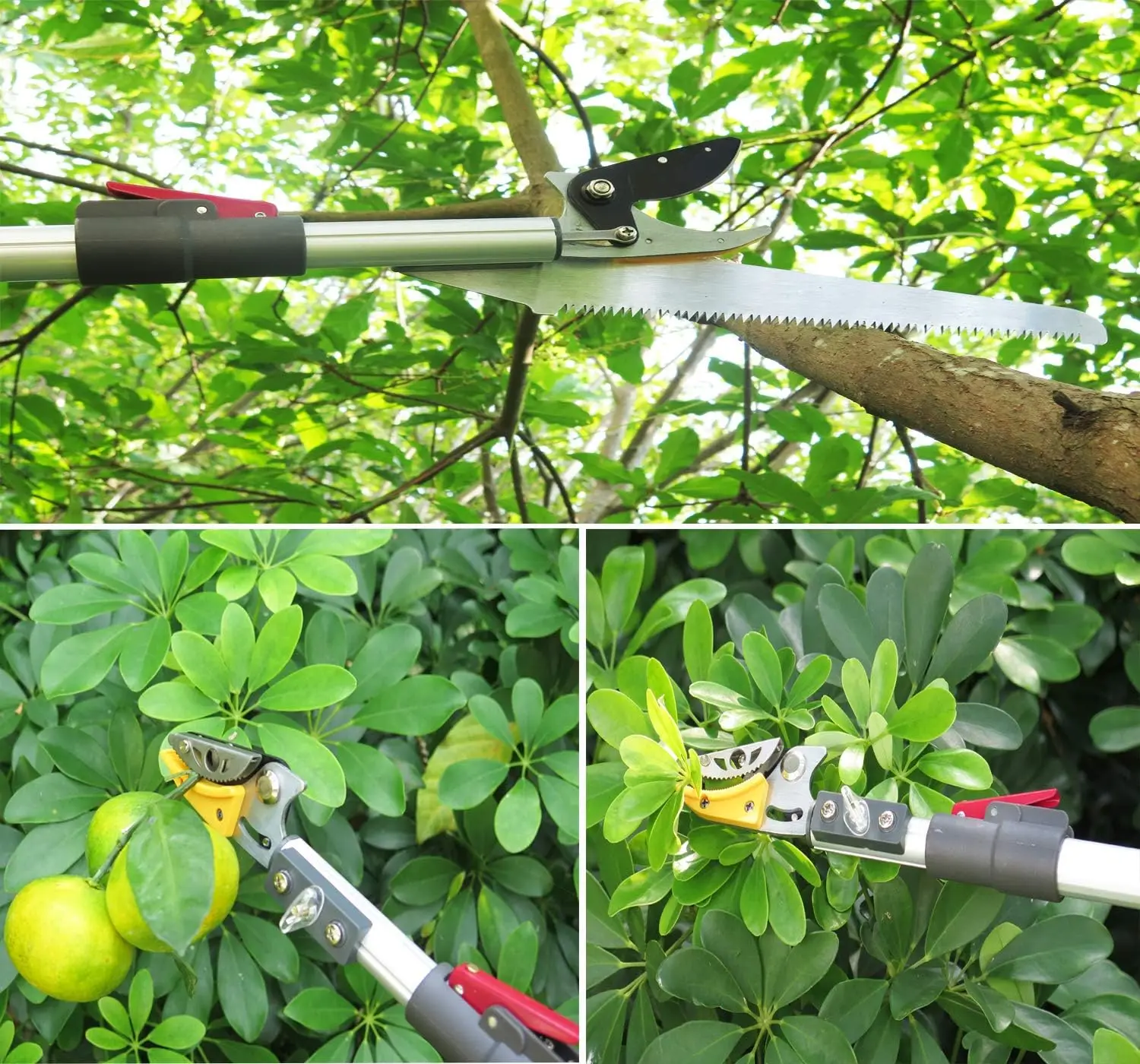 آلة تشذيب الأشجار قابلة للتمديد مع ضبط 4 عقد ، منشار القطب للوصول إلى القص ، قص وعقد ، طول-13 قدم ، قسمين