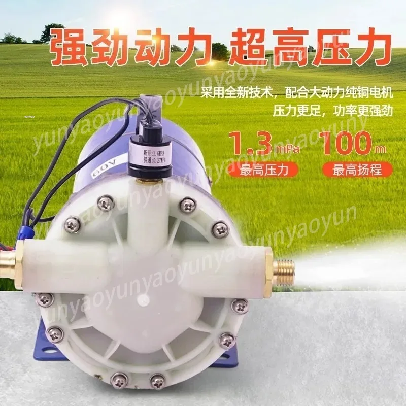 12V 48V 60V High Pressure Electric Sprayer 5-Cylinder Diaphragm Pump Agriculture Irrigation Self-Priming Washer
