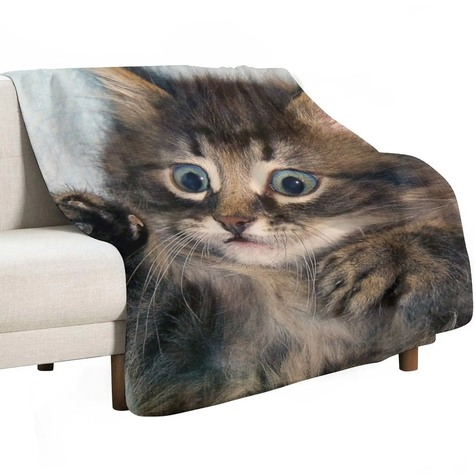 Kitten Throw Blanket Soft Plush Plaid Warm blankets and throws Cute Plaid halloween Luxury St Blankets