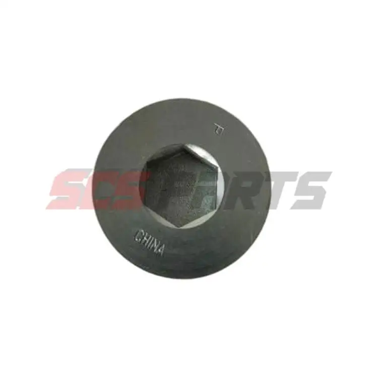 

3066323 Threaded Plug for Cummins Engine K19 K38 K50 N14 NT855
